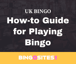 How-to Guide for Playing Bingo