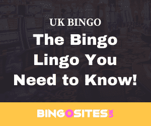 The Bingo Lingo You Need to Know!