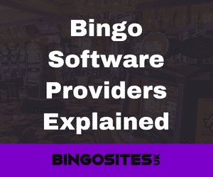 Bingo Software Providers Explained