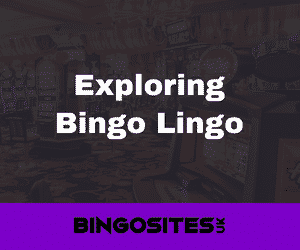 Exploring Bingo Lingo